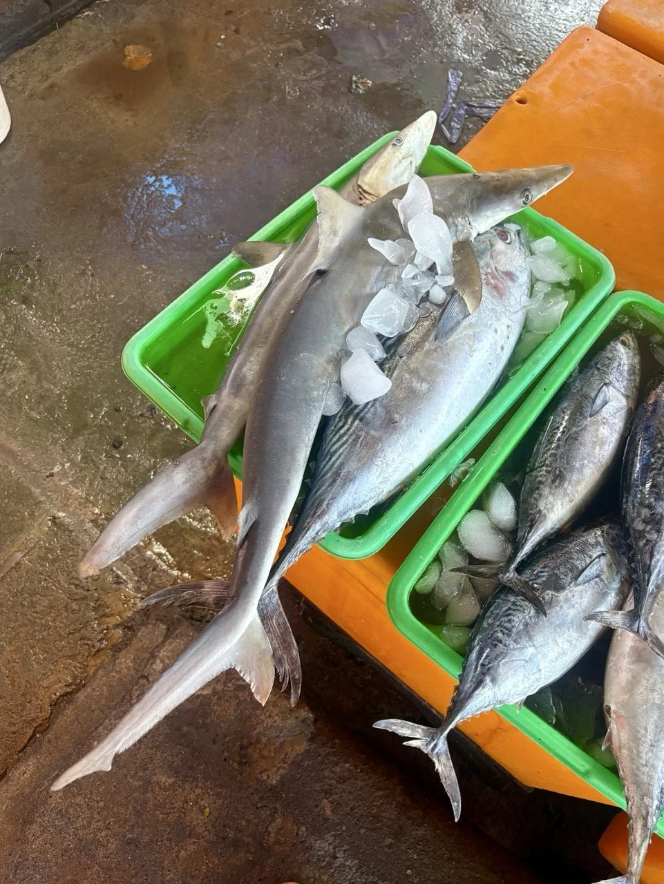 kedonganan-fish-market-03.jpeg