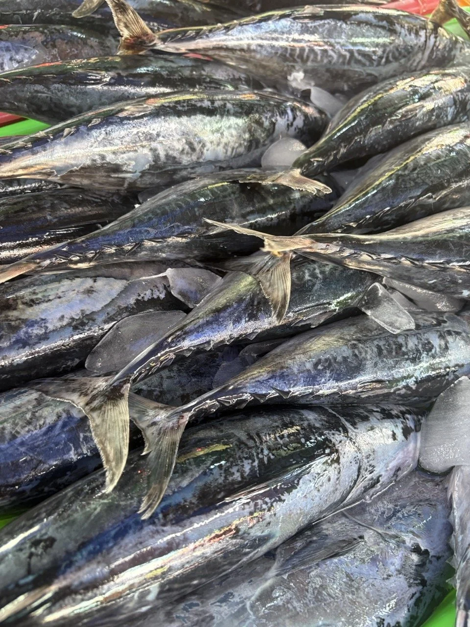 kedonganan-fish-market-05.jpeg