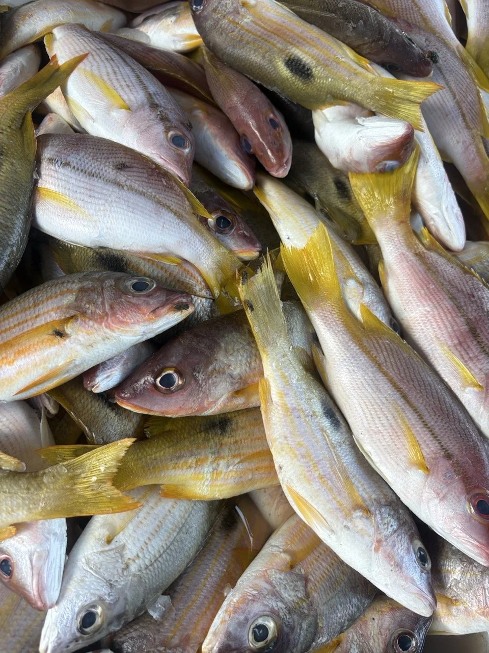 kedonganan-fish-market-06.jpeg
