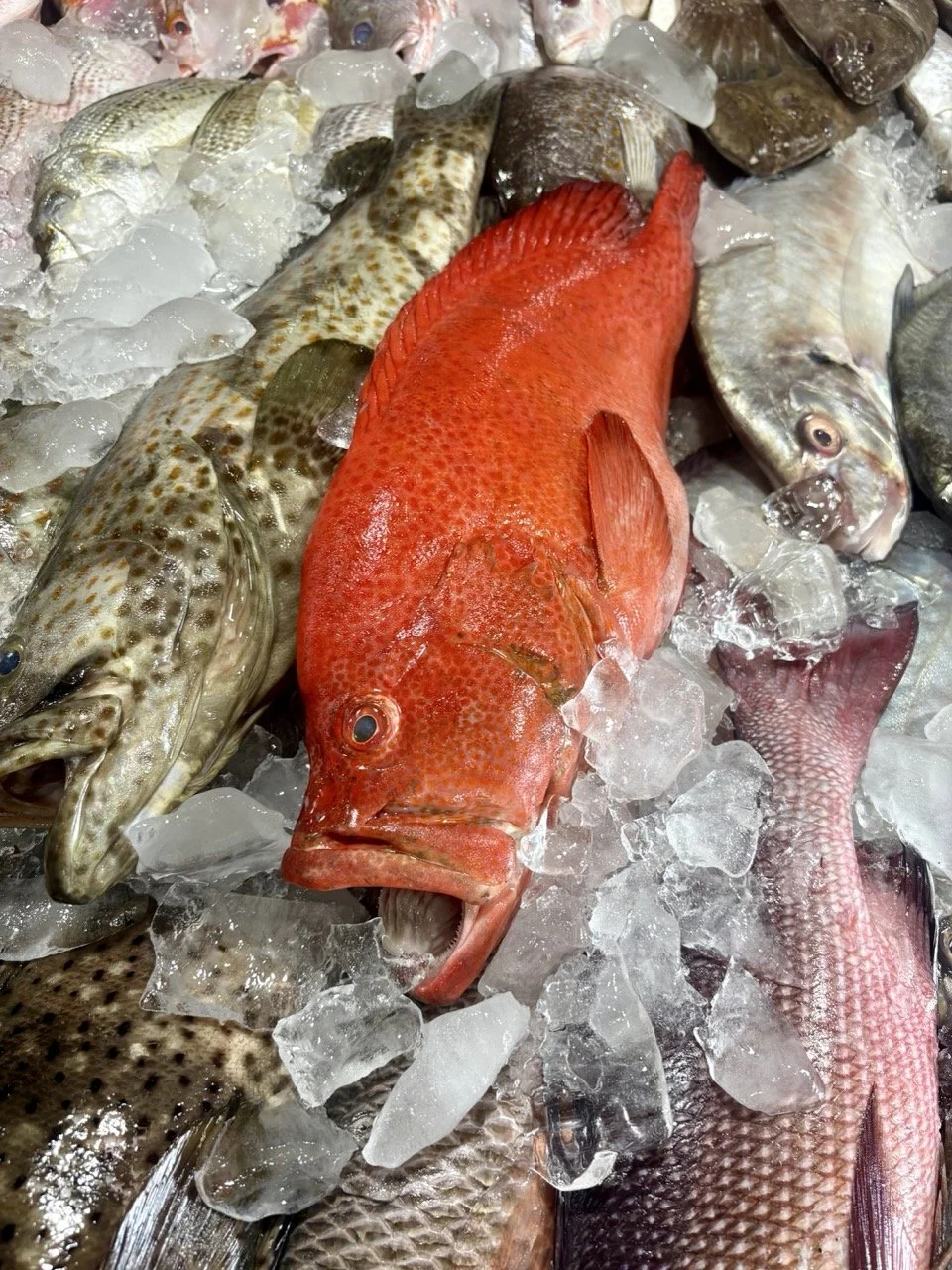 kedonganan-fish-market-07.jpeg