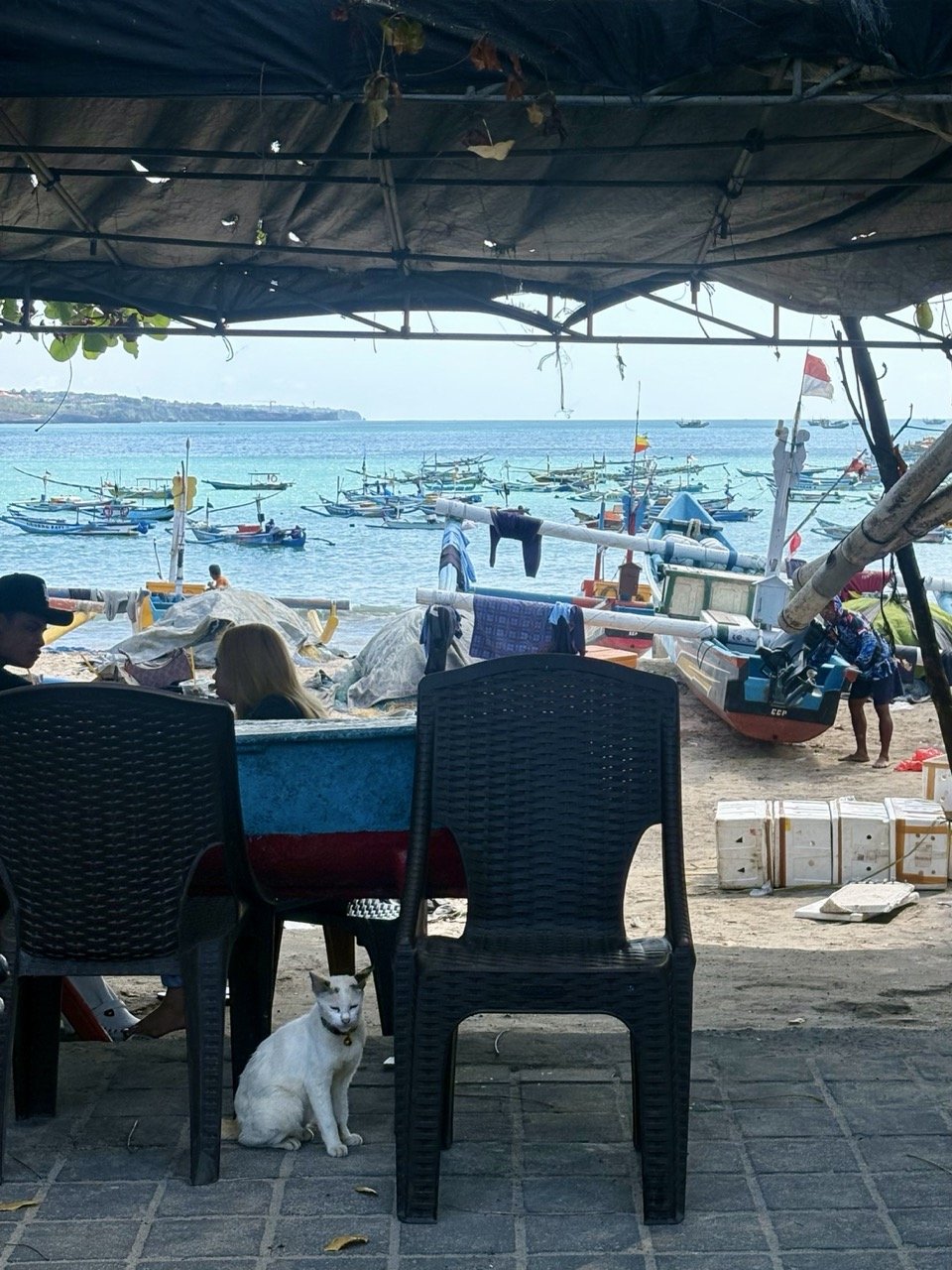 kedonganan-fish-market-62.jpeg