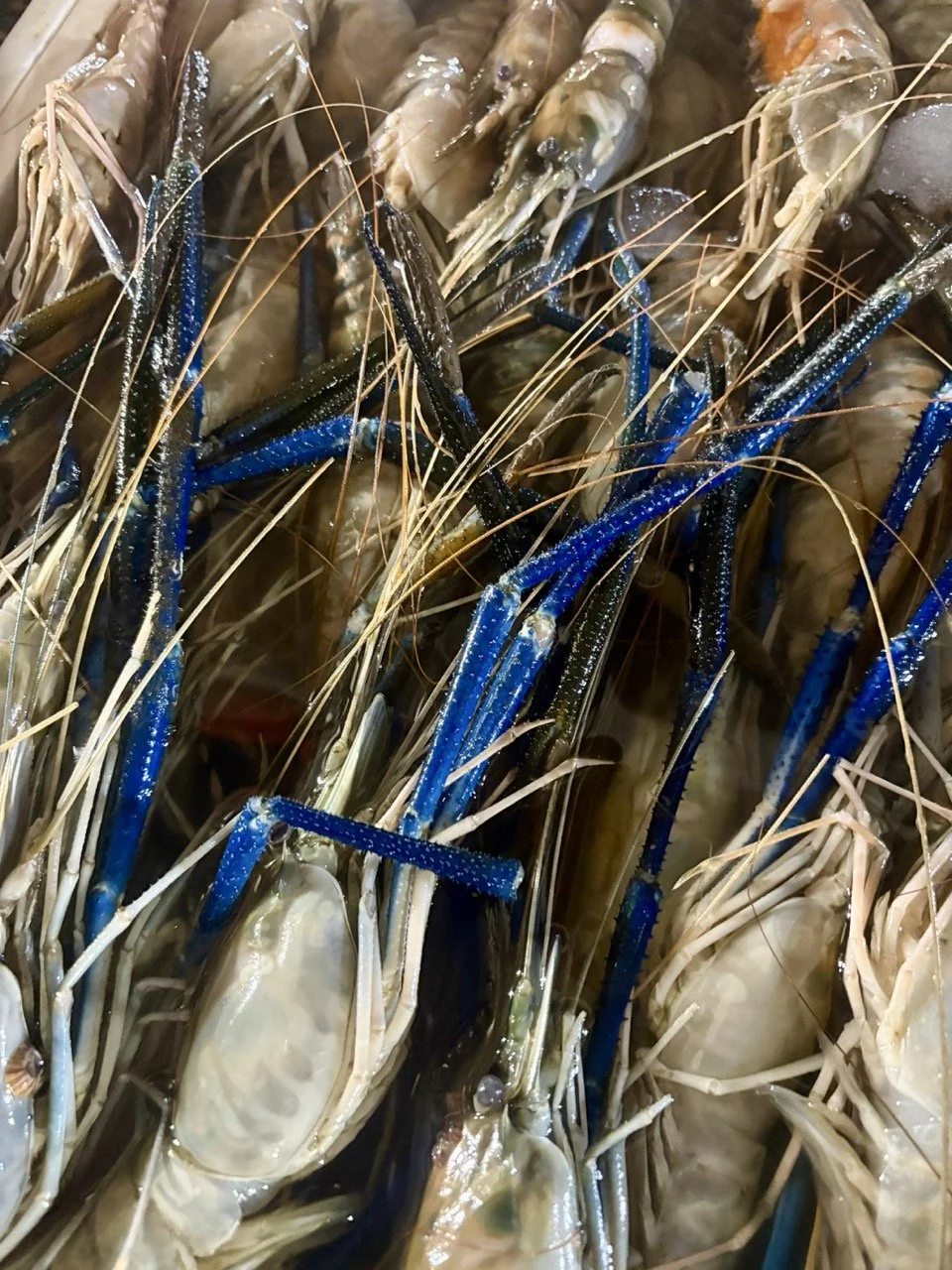 kedonganan-fish-market-89.jpeg