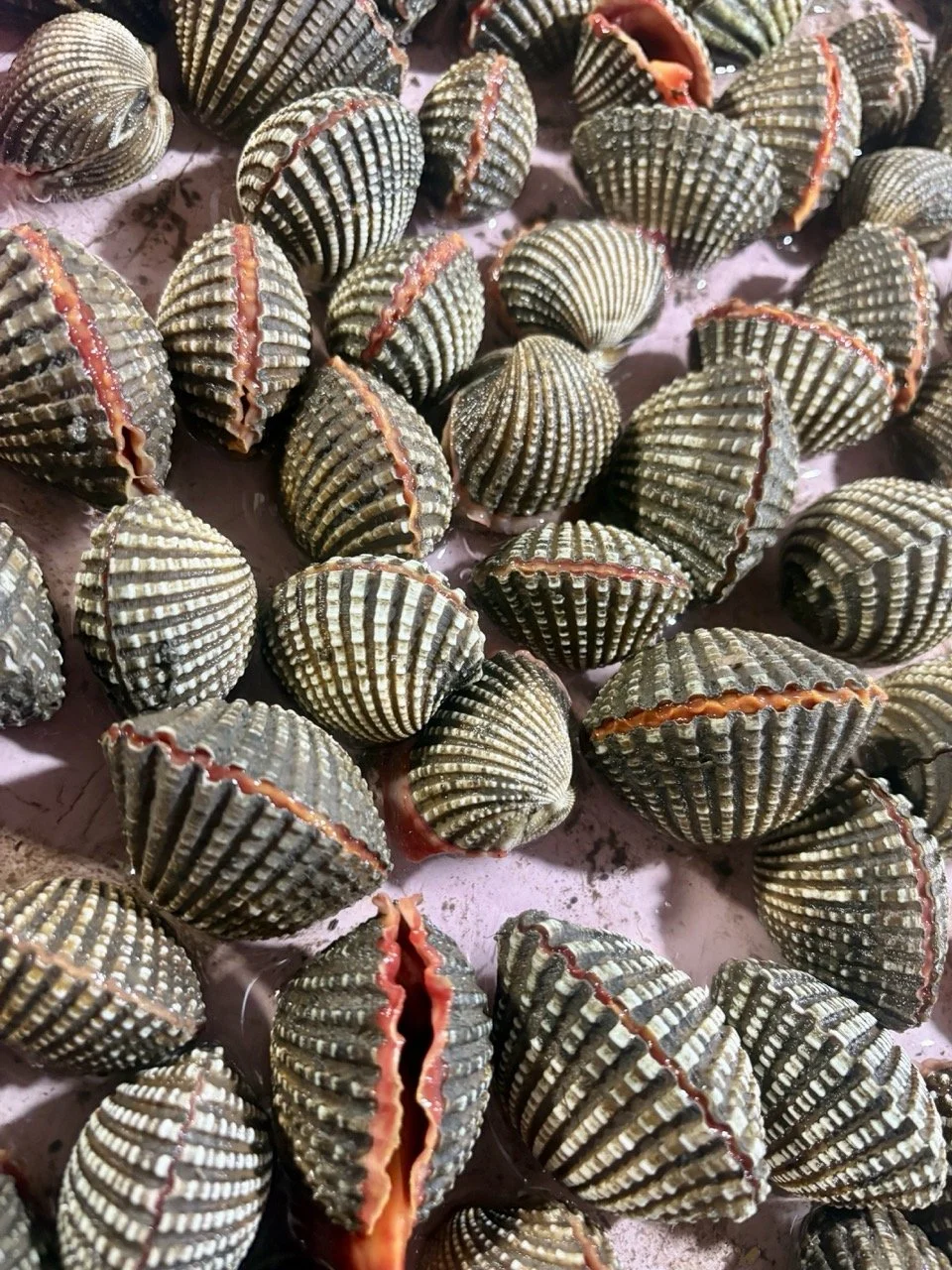 kedonganan-fish-market-91.jpeg
