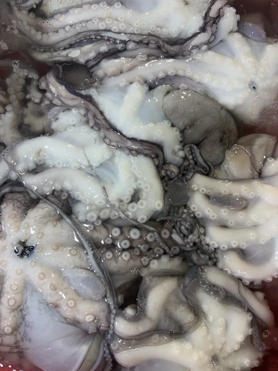 kedonganan-fish-market-96.jpeg