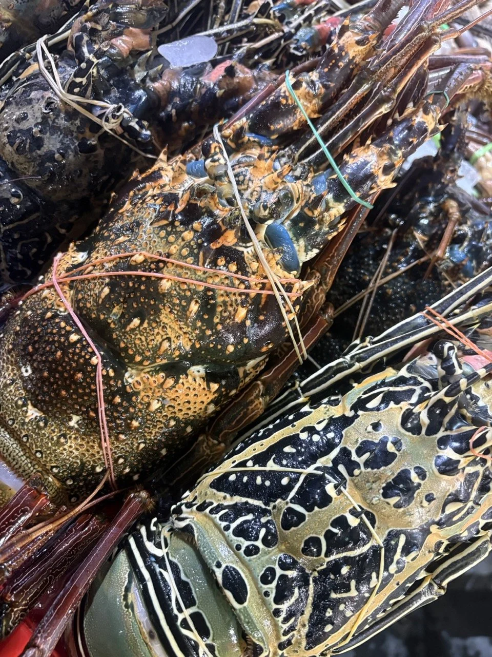 kedonganan-fish-market-97.jpeg