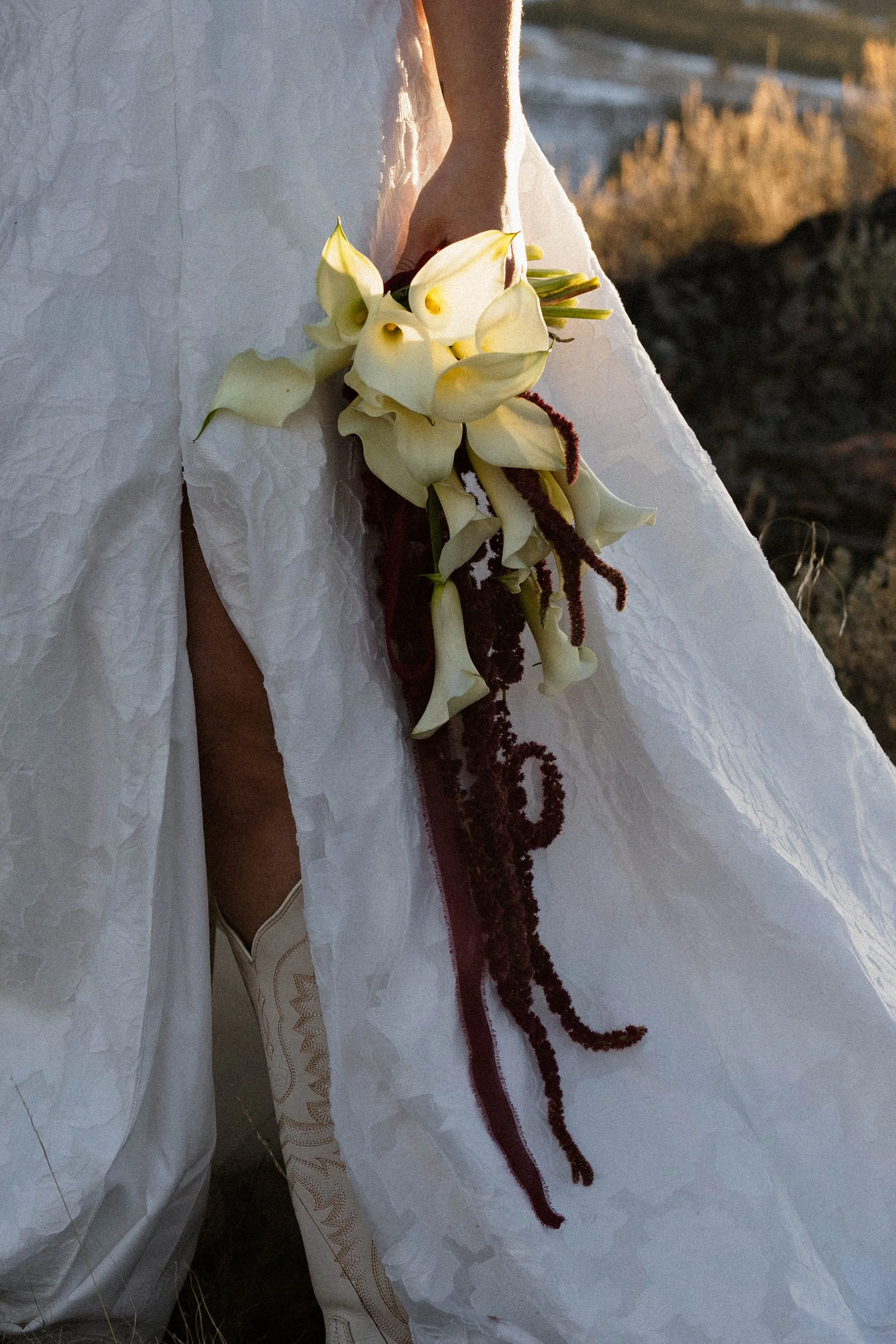 untitled-1295-2.jpg