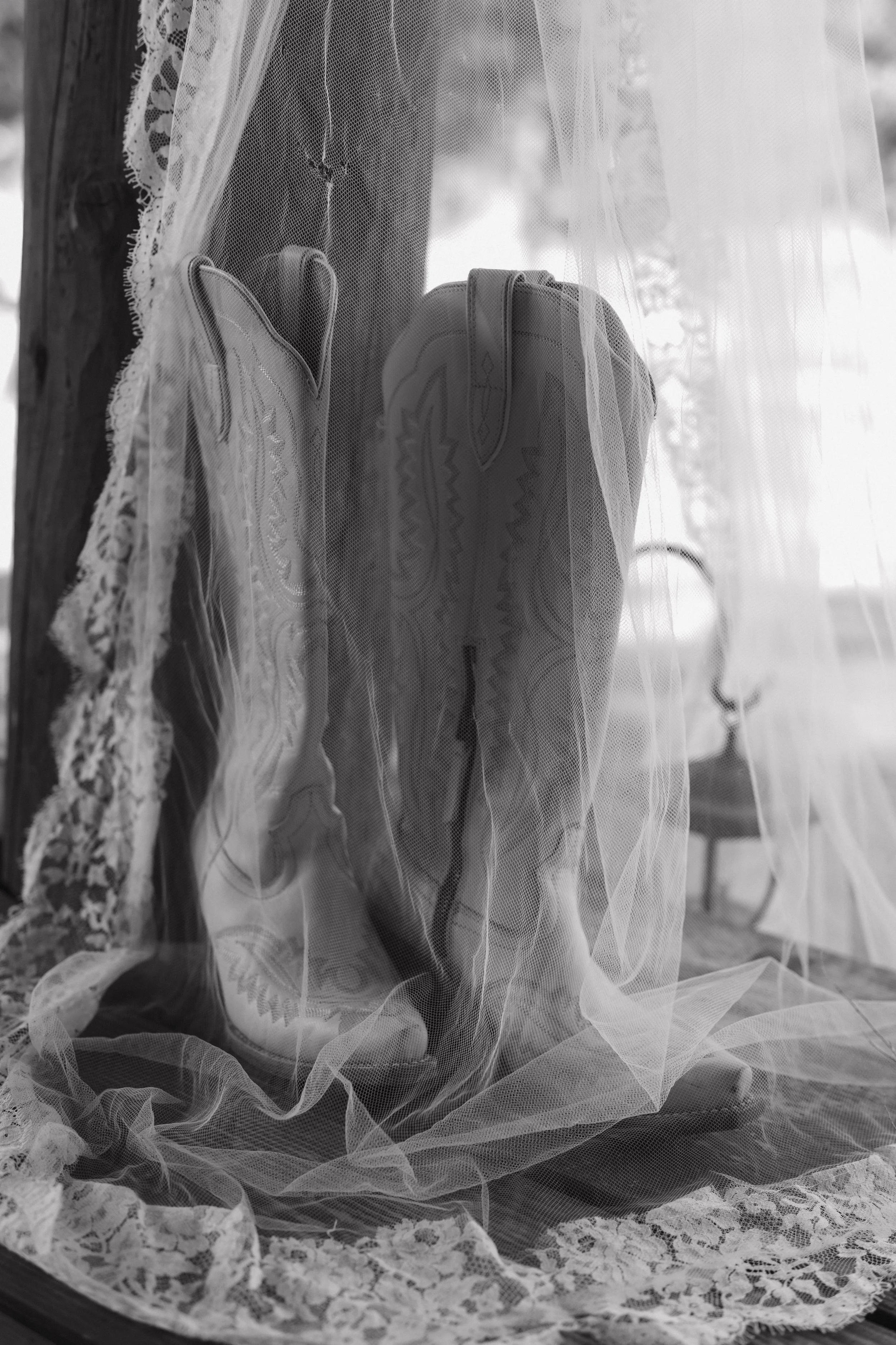 untitled-538.jpg
