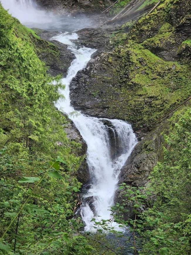 A waterfall cascading down rocks surrounded by lush green vegetation in a forest. Washington State.
