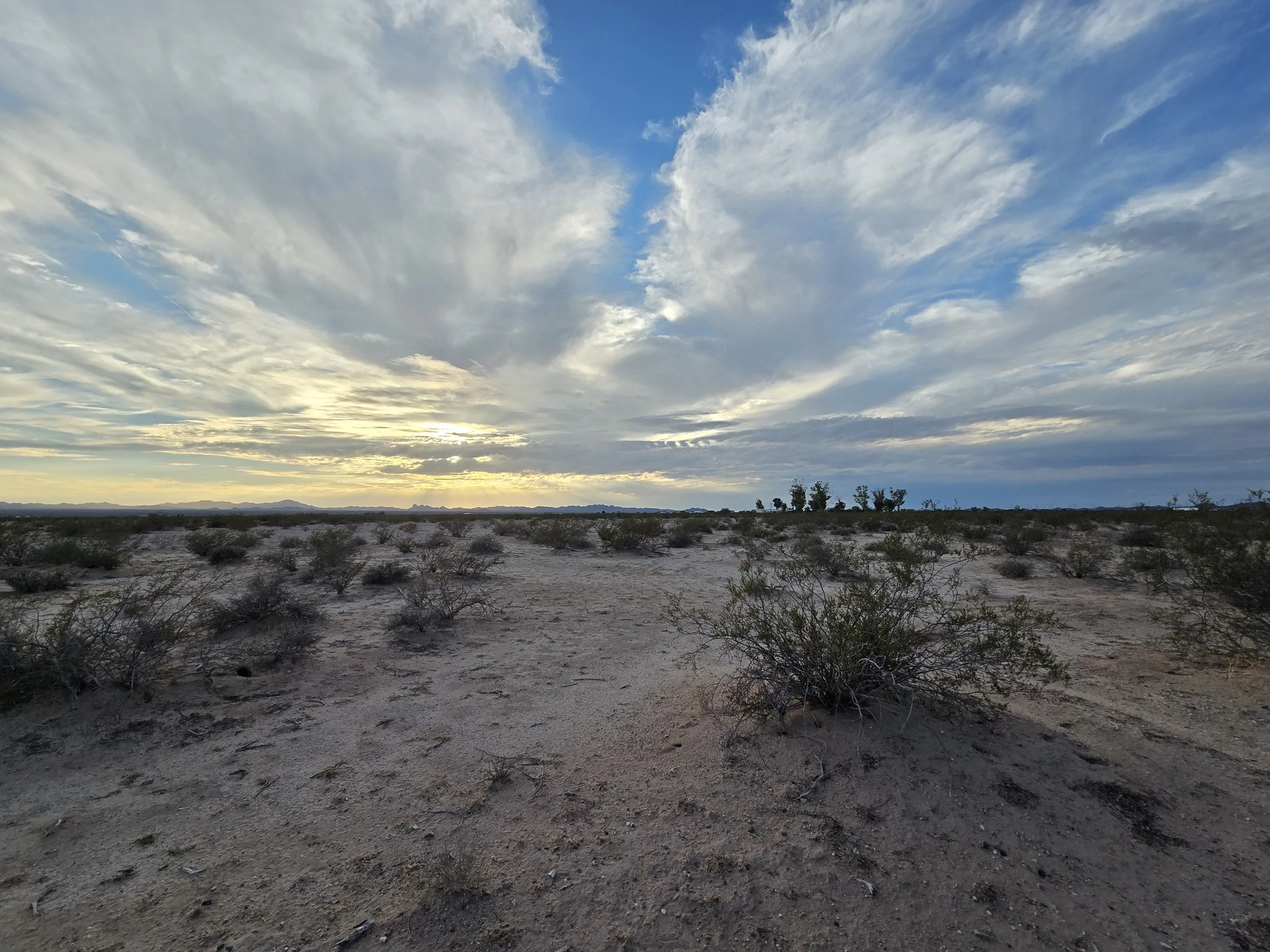 A desert landscape during sunset with sparse bushes, mountains in the distance, and a mostly cloudy sky. Central Arizona.