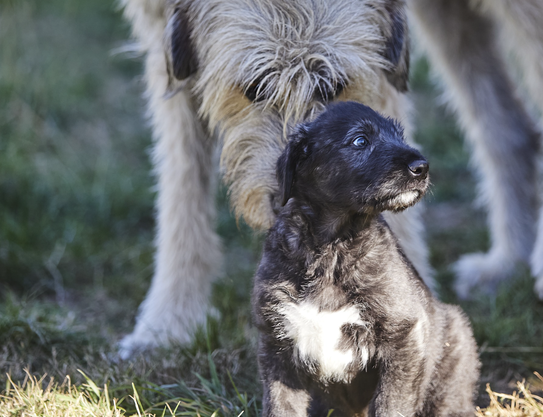 Opera Snapshot_2025-06-15_191507_www.facebook.com.png