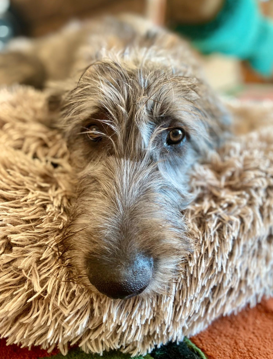 Screenshot 2025-09-29 100925.png