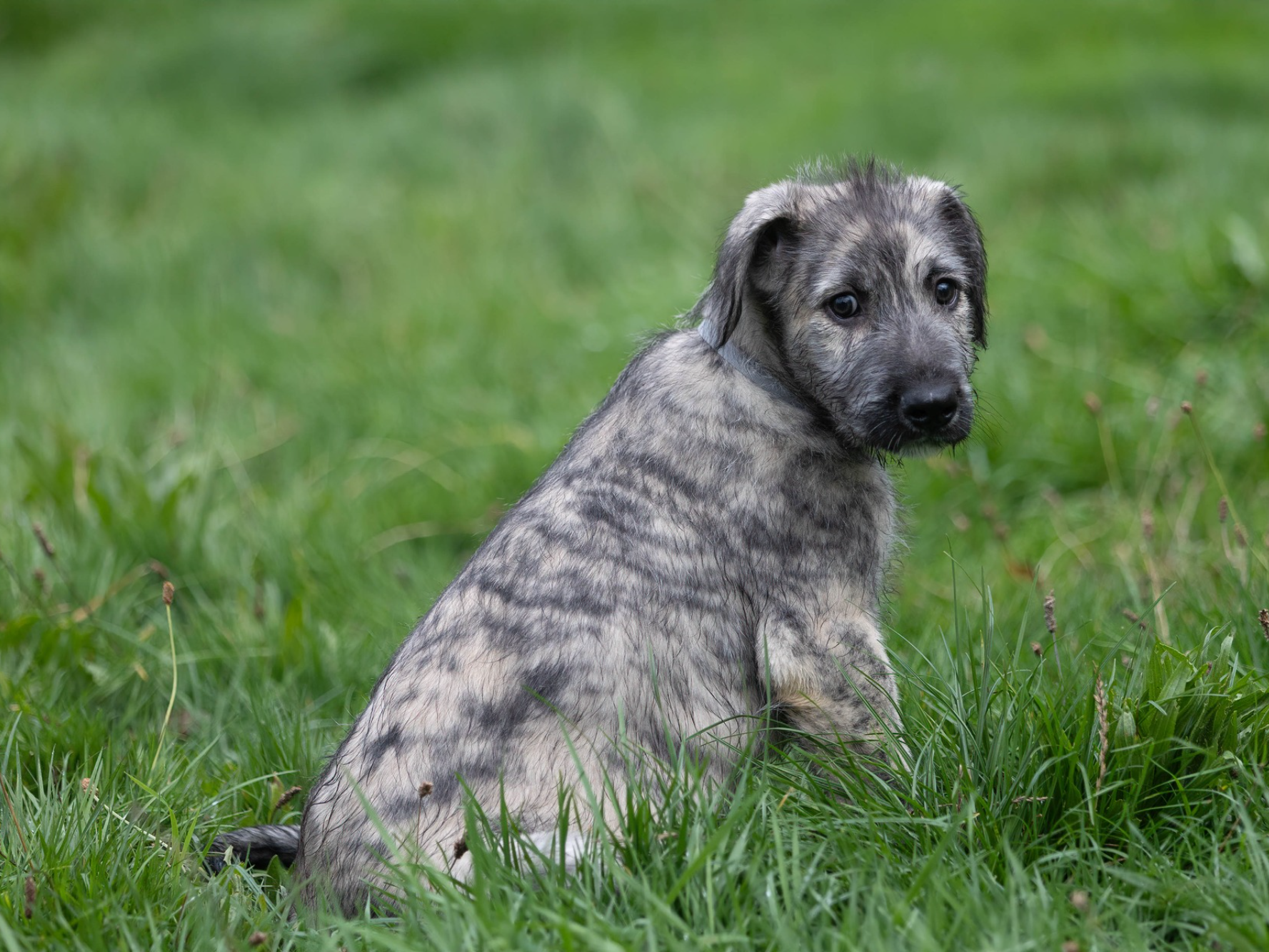 Opera Snapshot_2025-06-15_192446_www.facebook.com.png