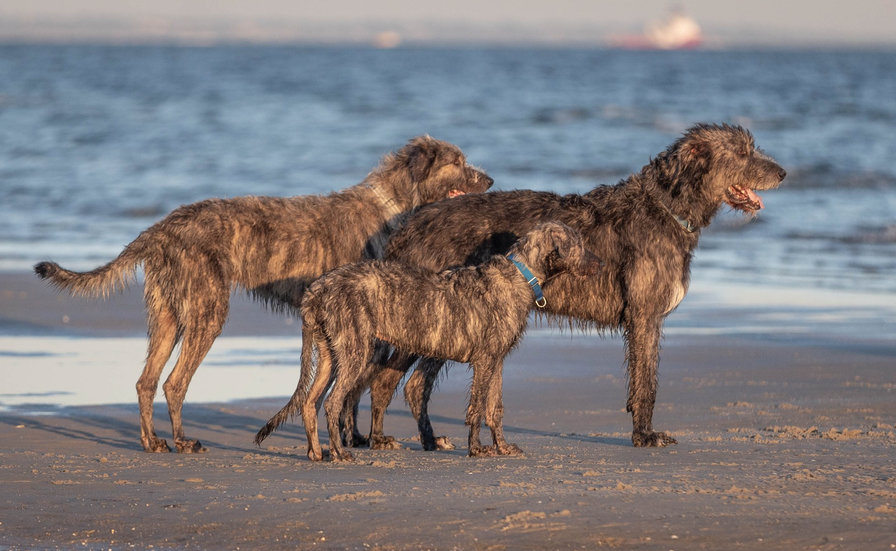 Screenshot 2025-09-29 095420.png