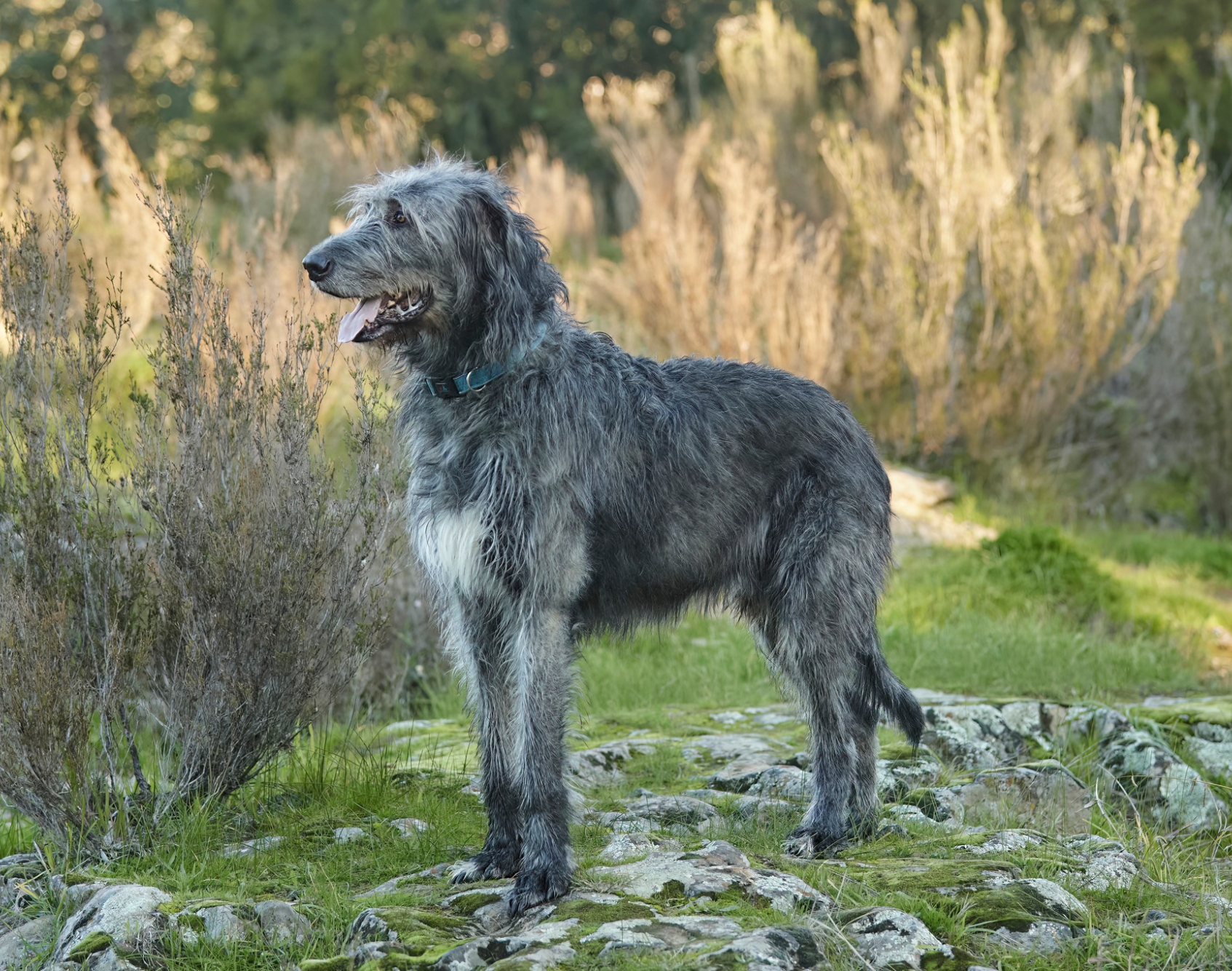 Opera Snapshot_2025-06-15_191207_www.facebook.com.png