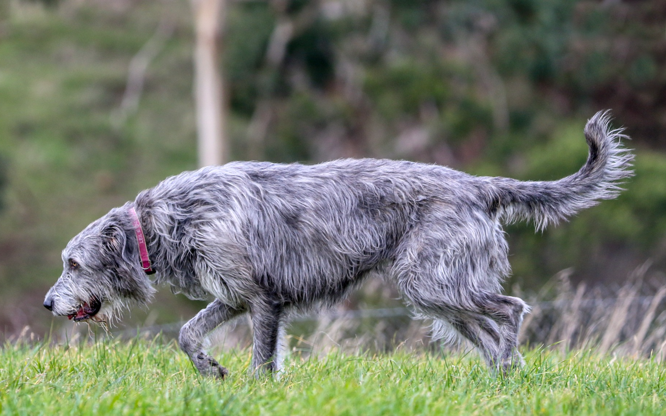 Opera Snapshot_2025-06-15_190523_www.facebook.com.png