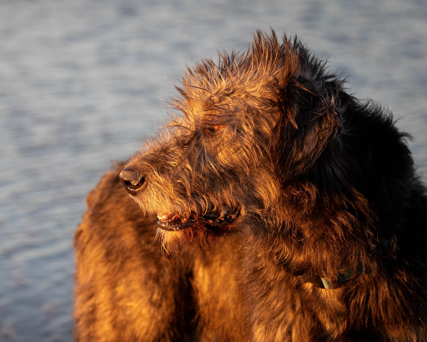 Screenshot 2025-09-29 095530.png