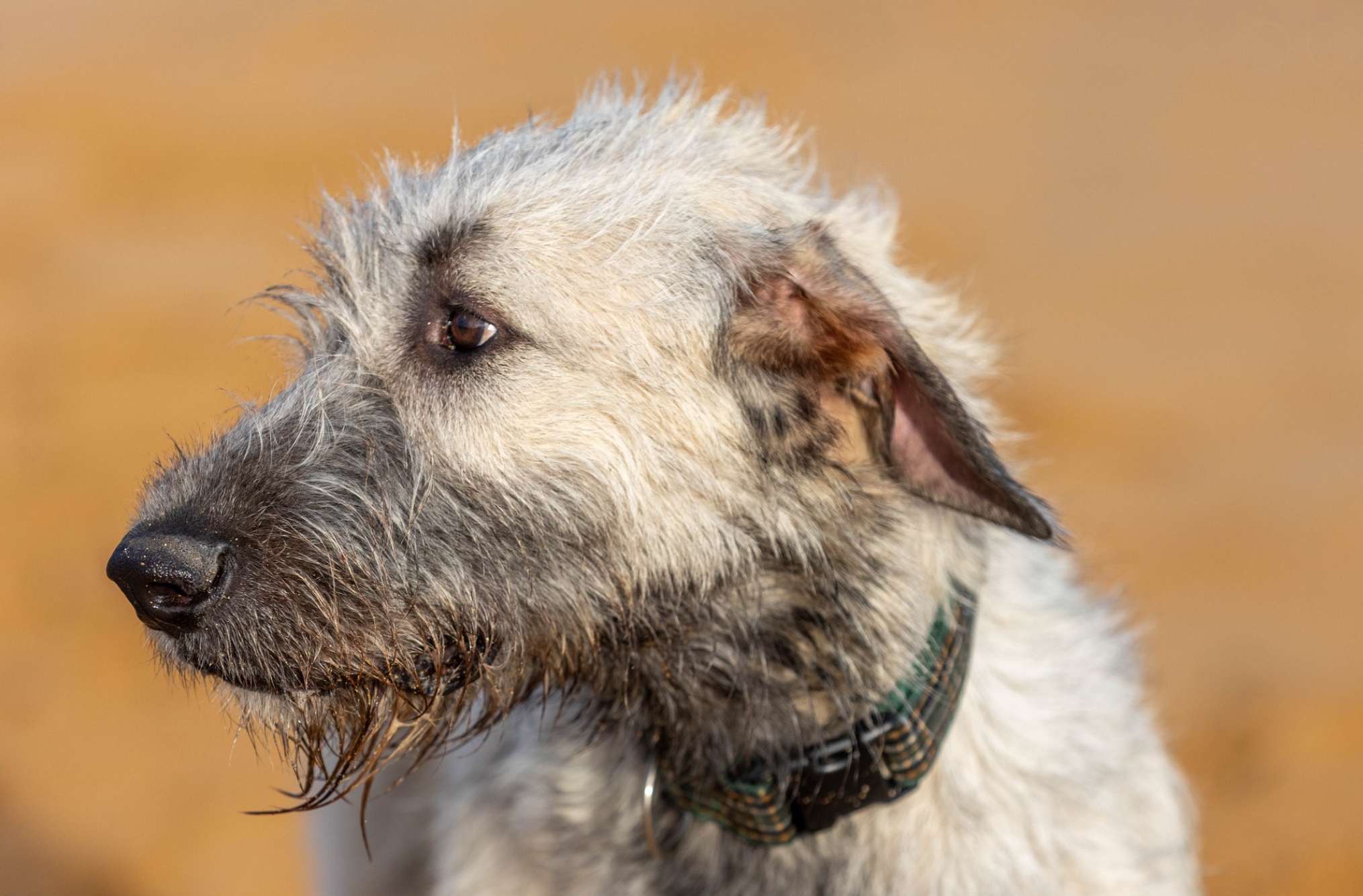 Opera Snapshot_2025-06-15_192732_www.facebook.com.png