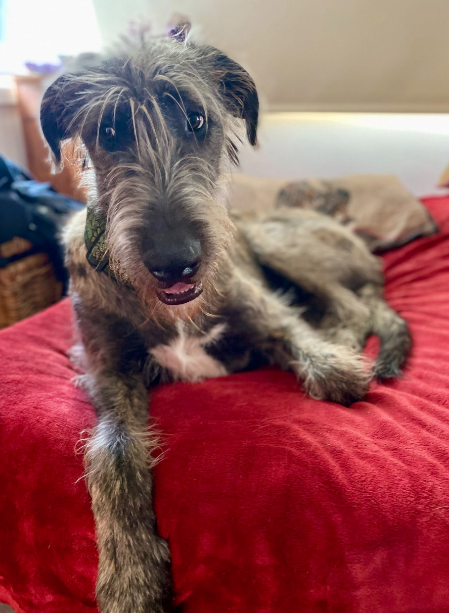 Screenshot 2025-09-29 100419.png