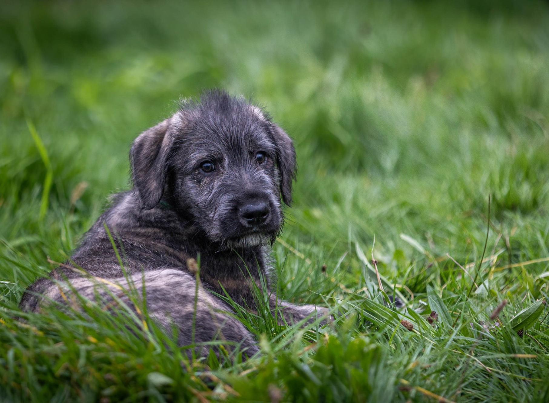 Opera Snapshot_2025-06-15_192311_www.facebook.com.png