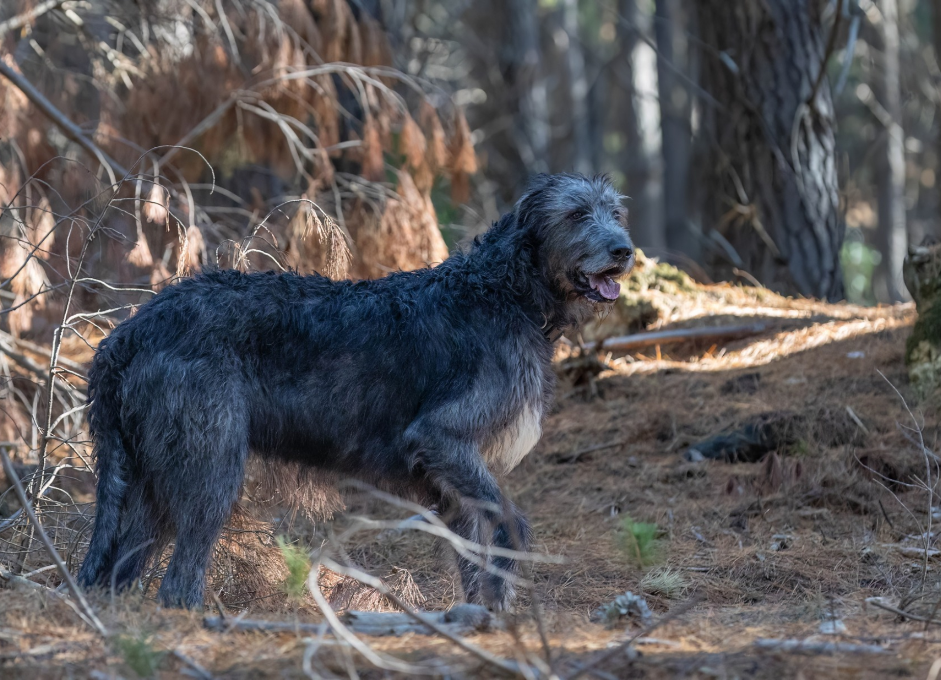 Opera Snapshot_2025-06-15_185329_www.facebook.com.png