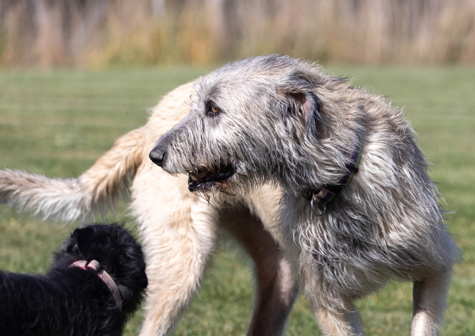 Opera Snapshot_2025-06-15_191922_www.facebook.com.png