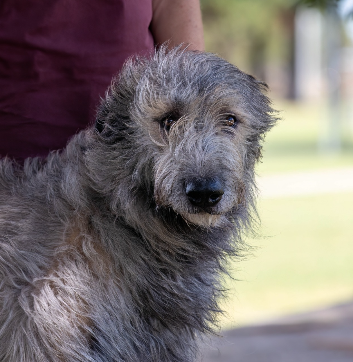 Screenshot 2025-09-29 095956.png