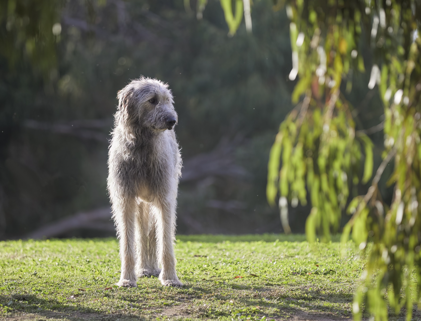 Opera Snapshot_2025-06-15_191306_www.facebook.com.png