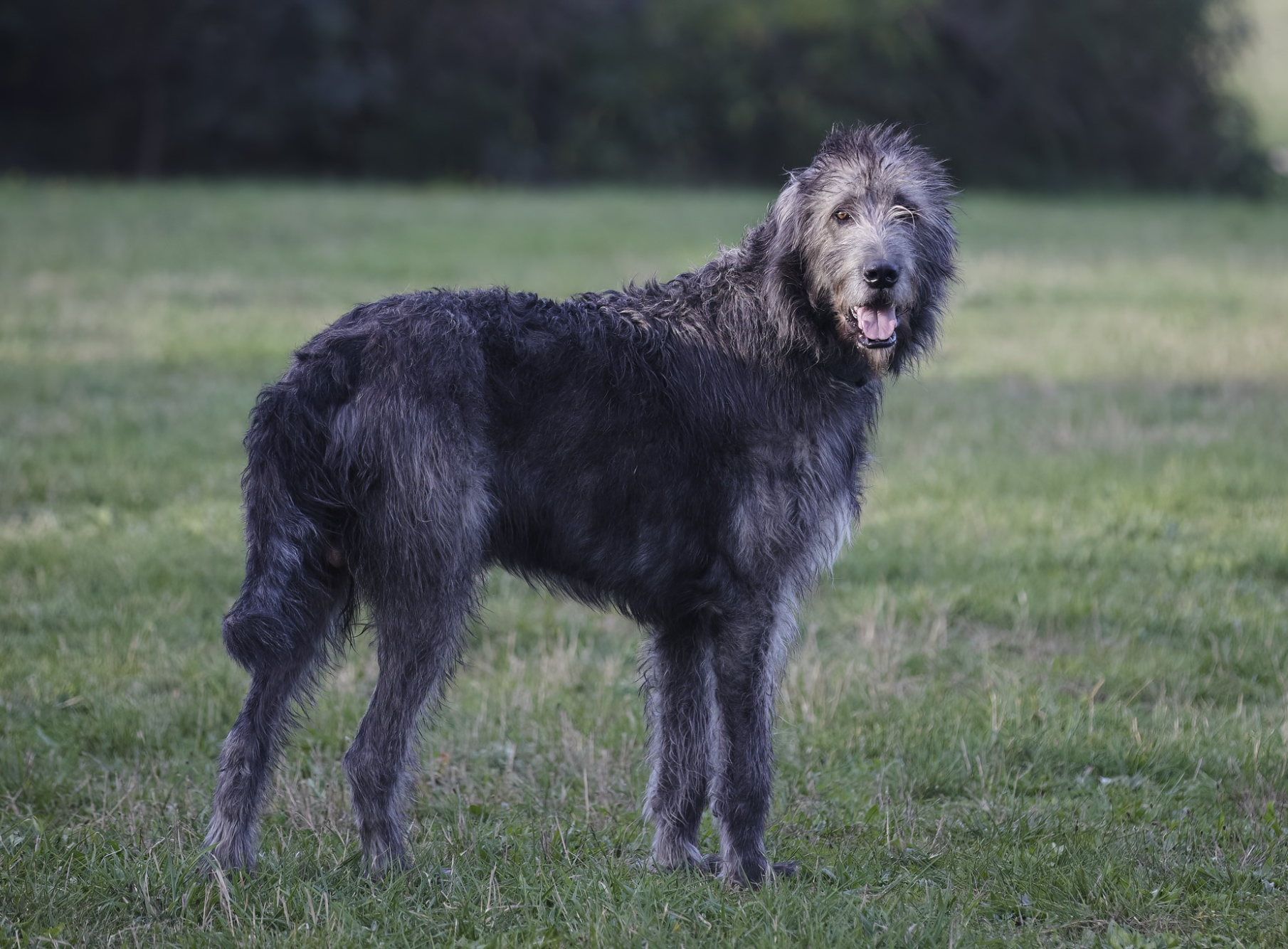 Opera Snapshot_2025-06-15_191548_www.facebook.com.png