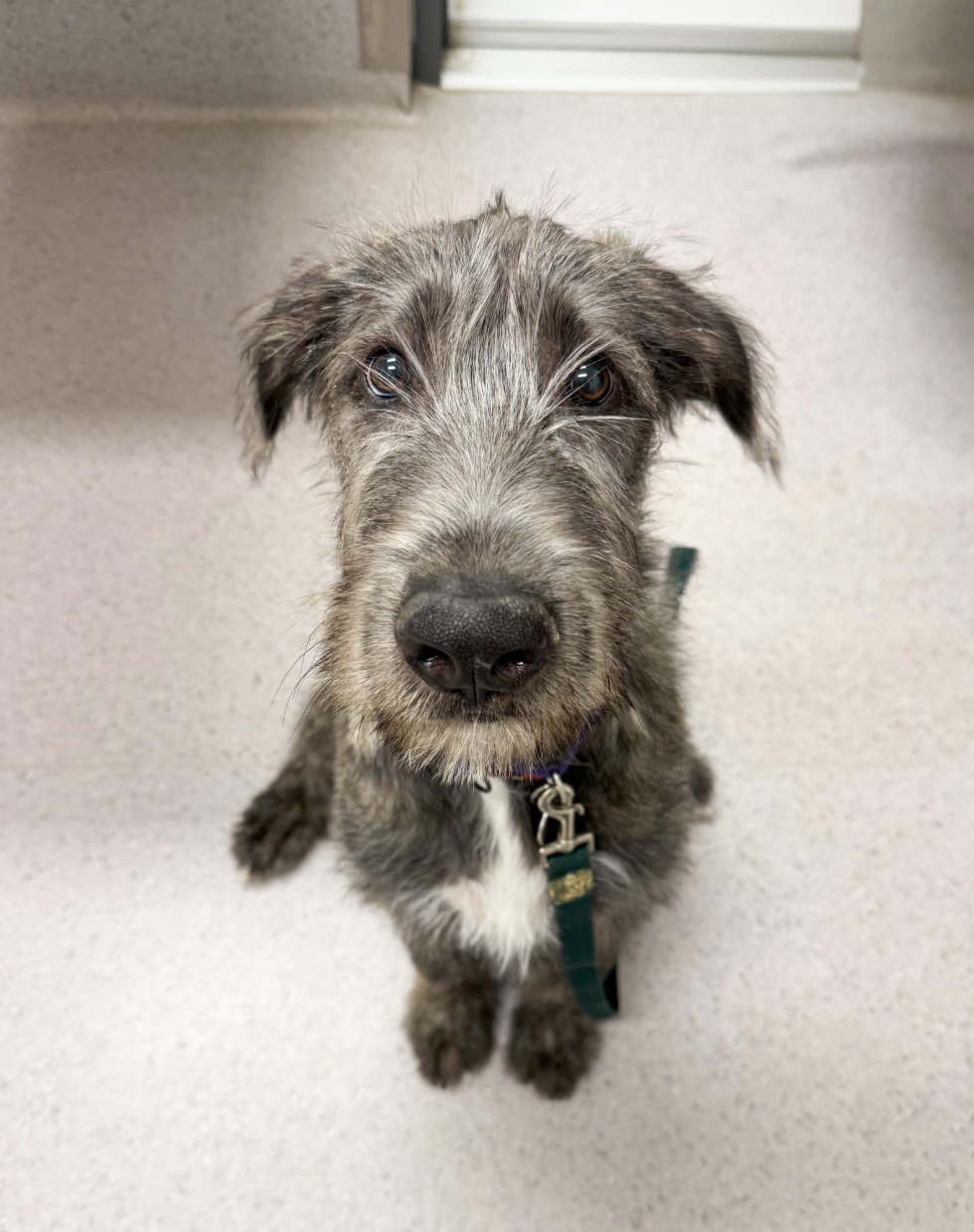 Screenshot 2025-09-29 101042.png