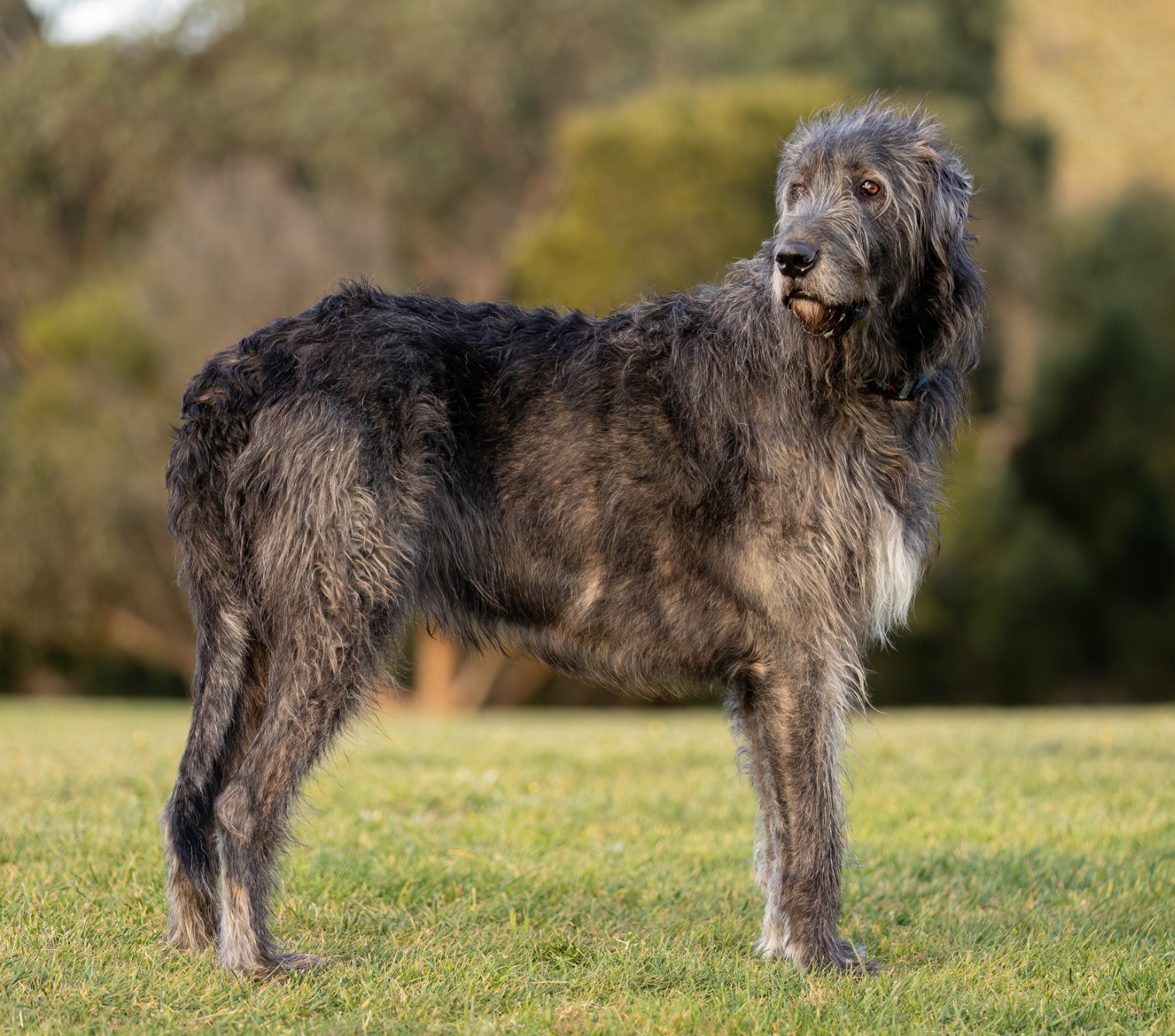 Opera Snapshot_2025-06-15_190926_www.facebook.com.png