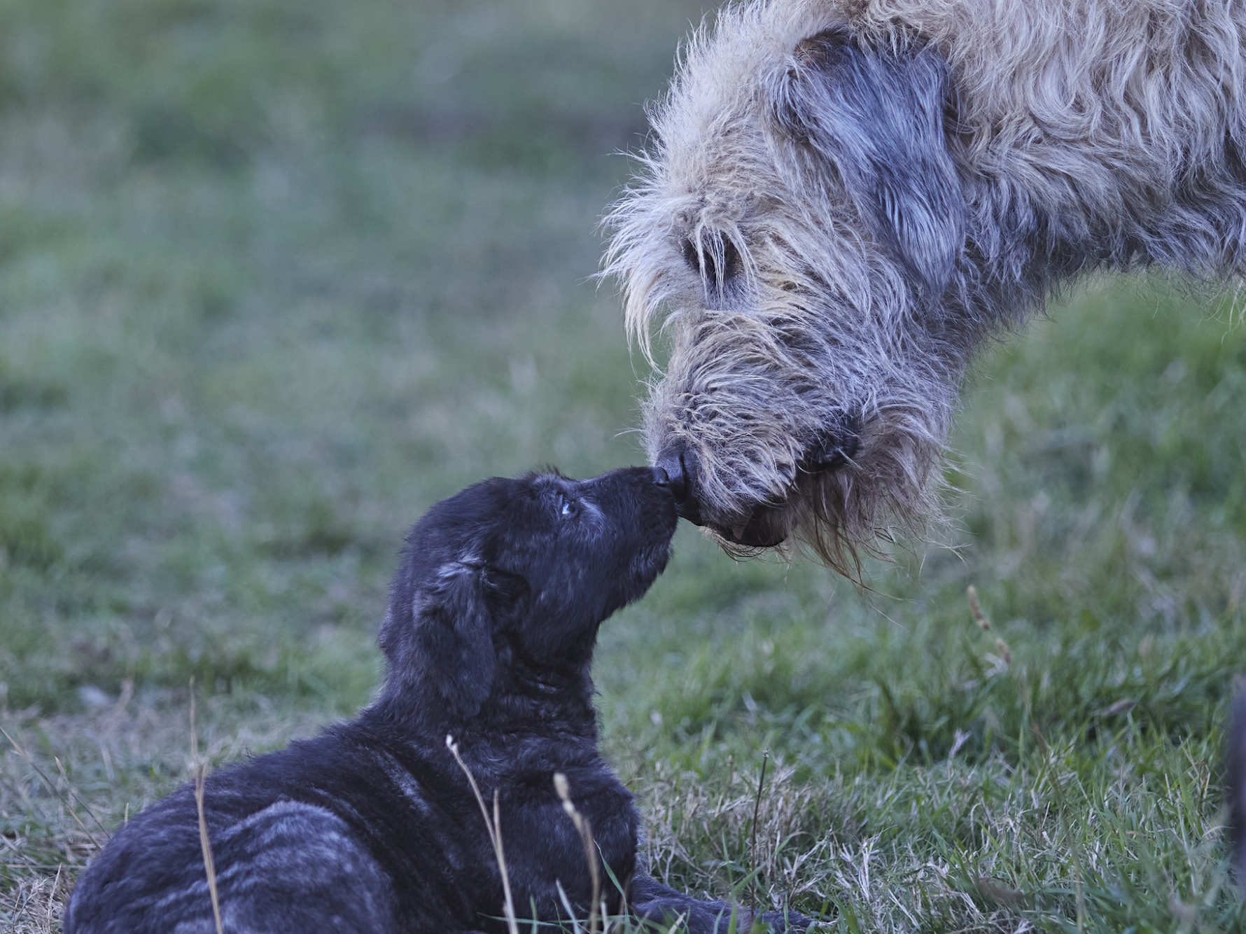 Opera Snapshot_2025-06-15_191525_www.facebook.com.png