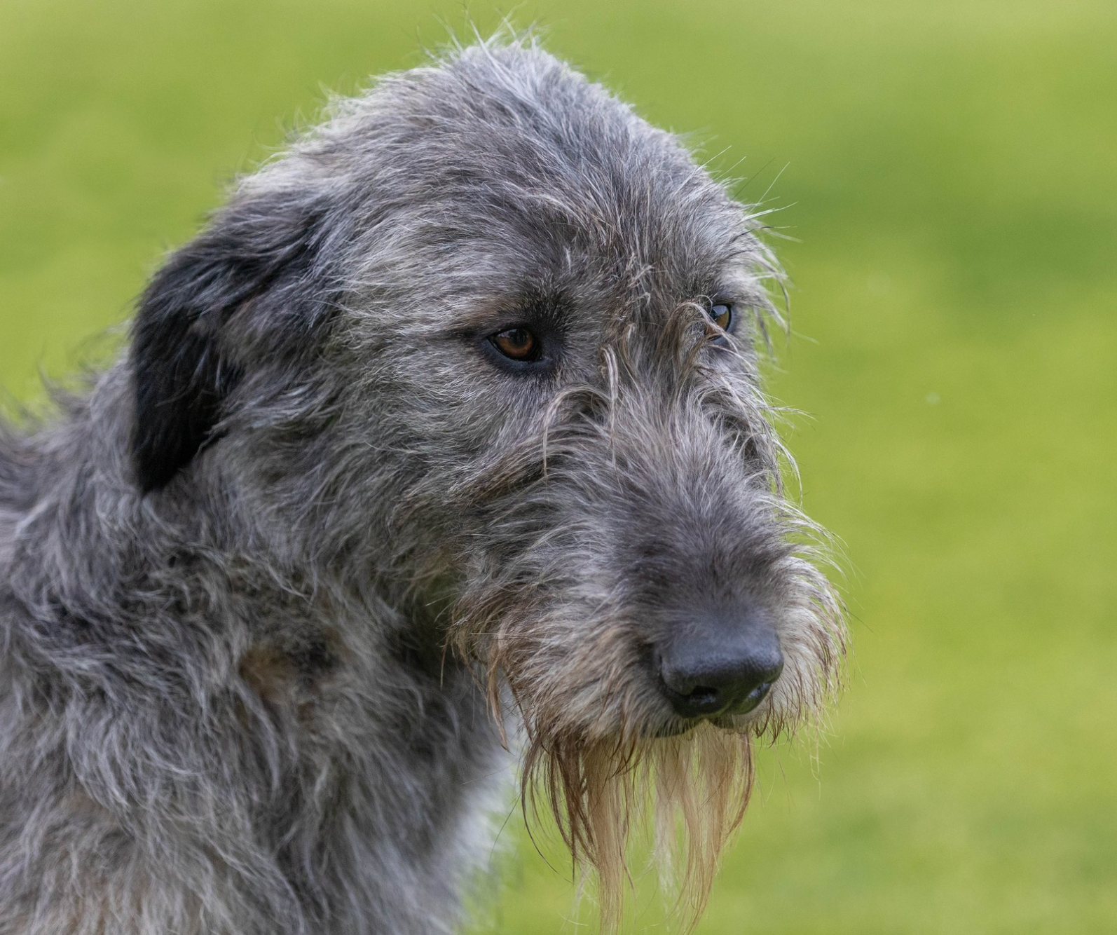 Opera Snapshot_2025-06-15_190711_www.facebook.com.png