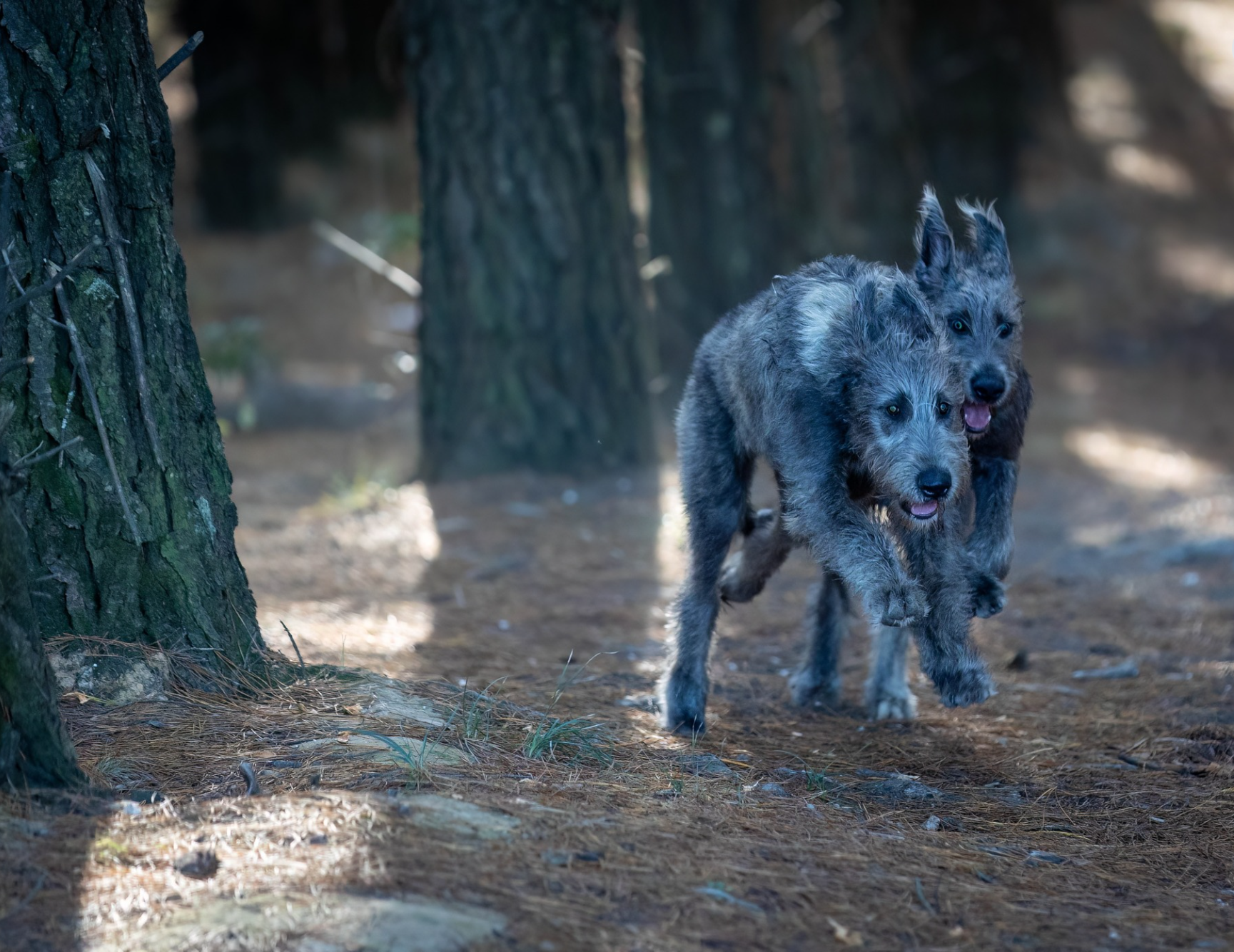 Opera Snapshot_2025-06-15_185614_www.facebook.com.png