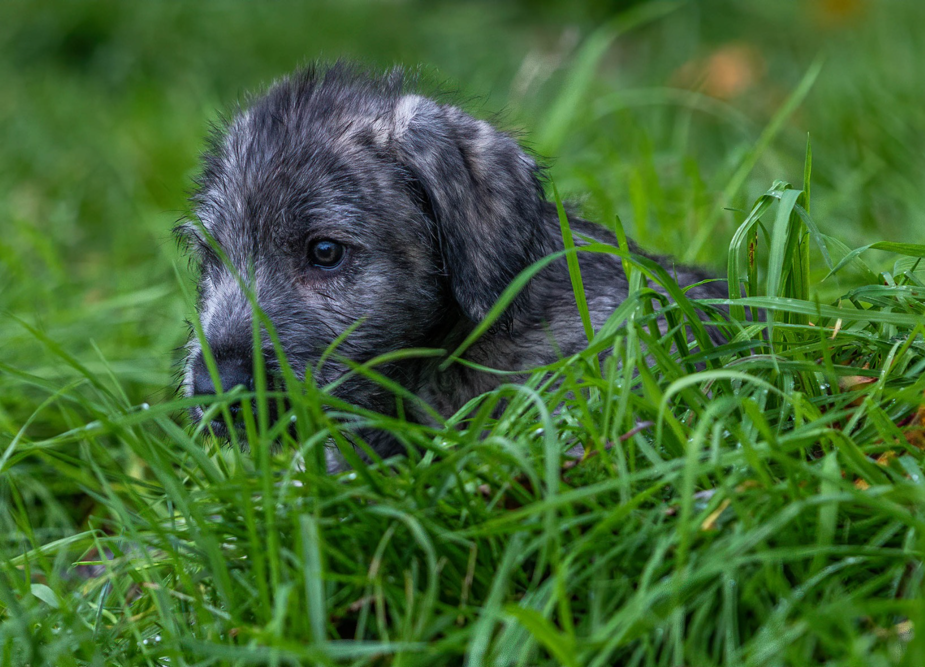 Opera Snapshot_2025-06-15_192218_www.facebook.com.png