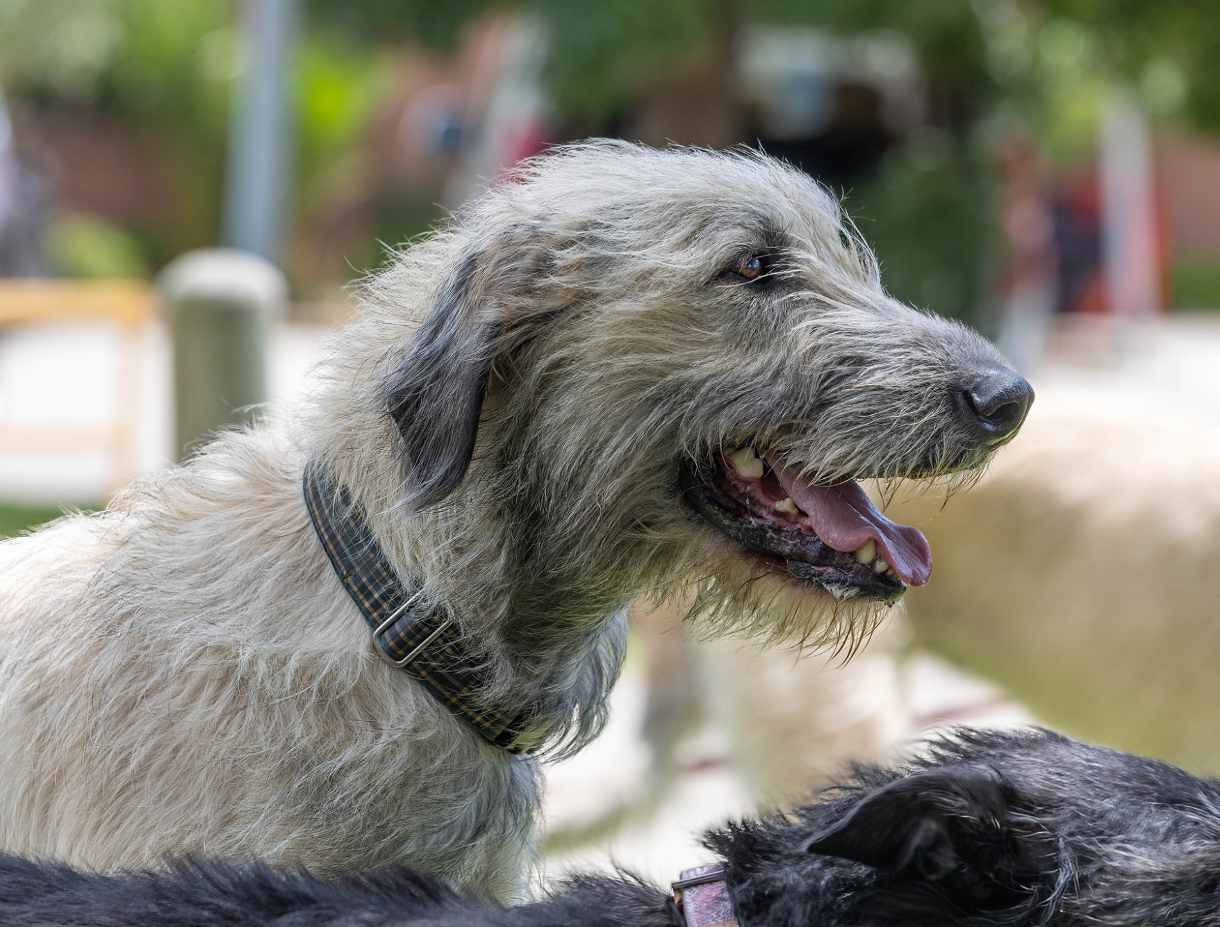 Opera Snapshot_2025-06-15_190358_www.facebook.com.png