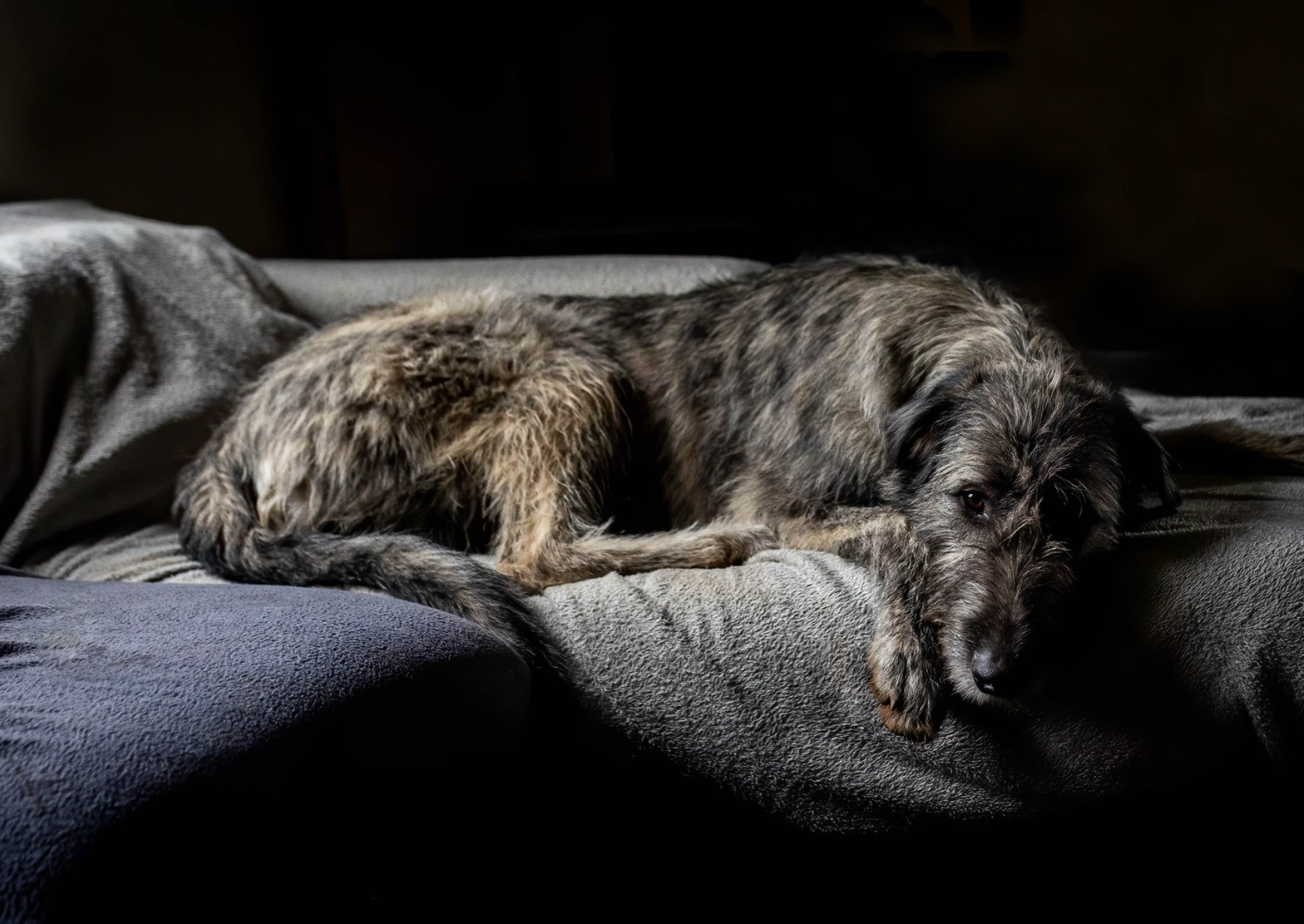 Opera Snapshot_2025-06-15_192703_www.facebook.com.png