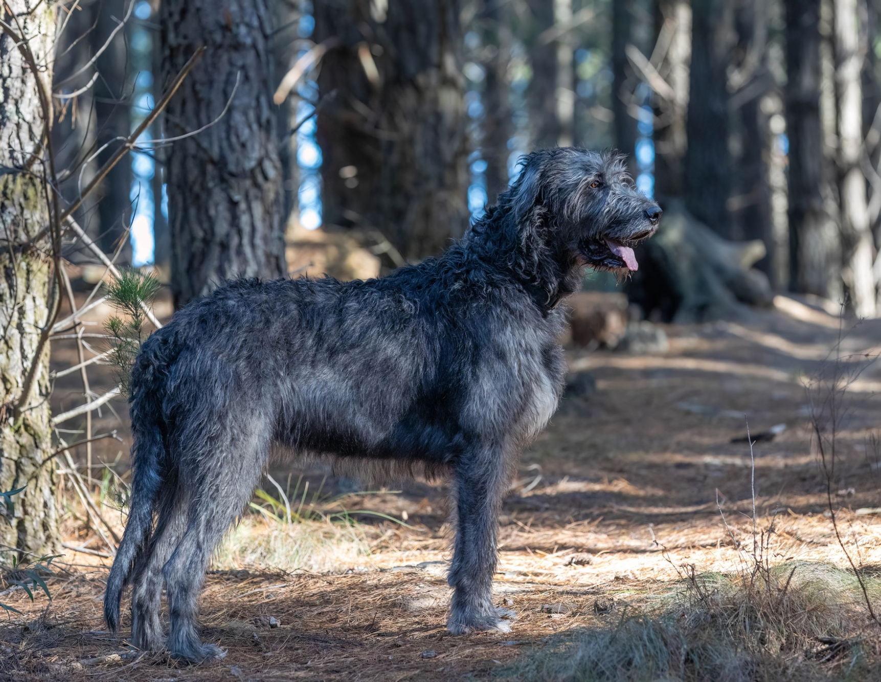 Opera Snapshot_2025-06-15_185501_www.facebook.com.png