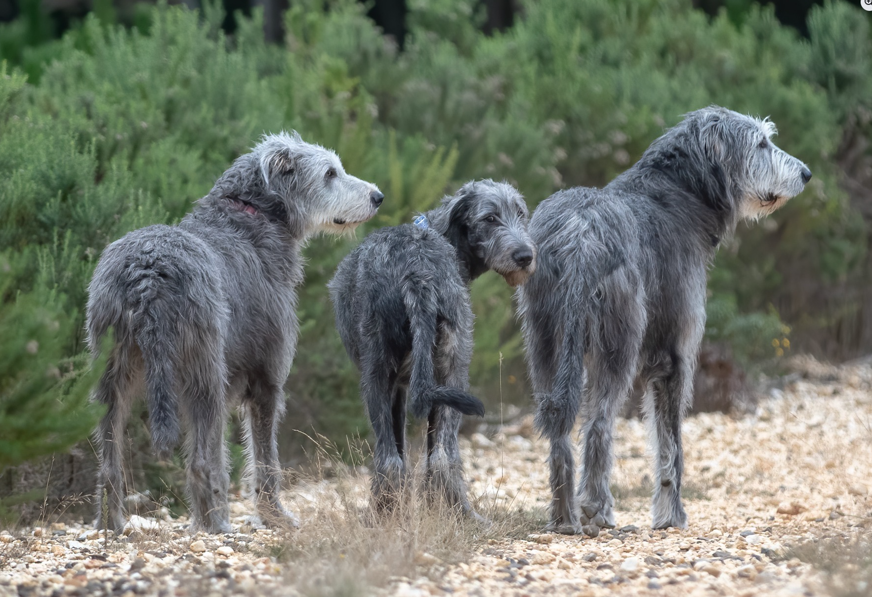 Screenshot 2025-09-29 095620.png