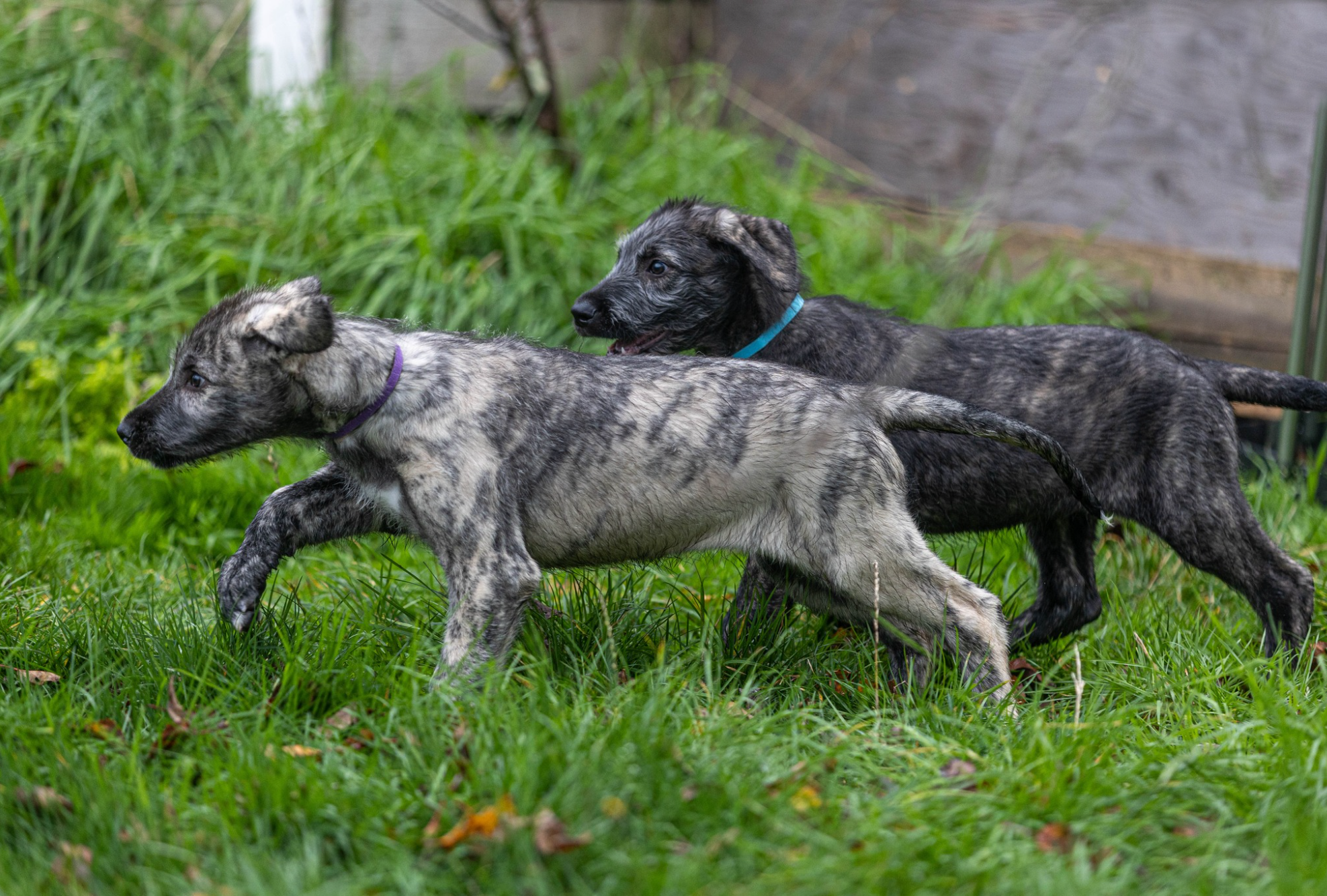 Opera Snapshot_2025-06-15_192353_www.facebook.com.png