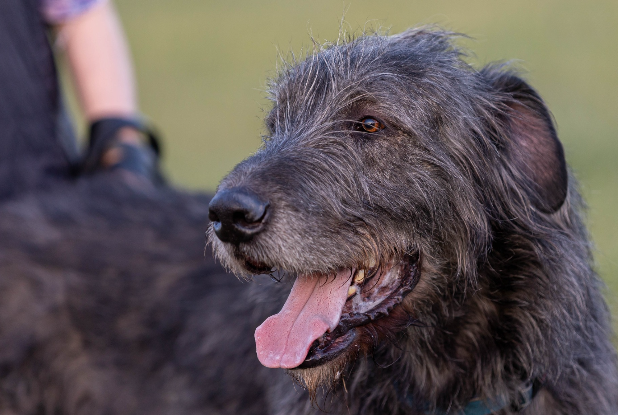 Opera Snapshot_2025-06-15_192017_www.facebook.com.png