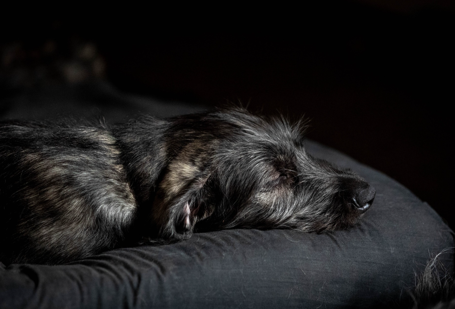 Screenshot 2025-09-29 095751.png