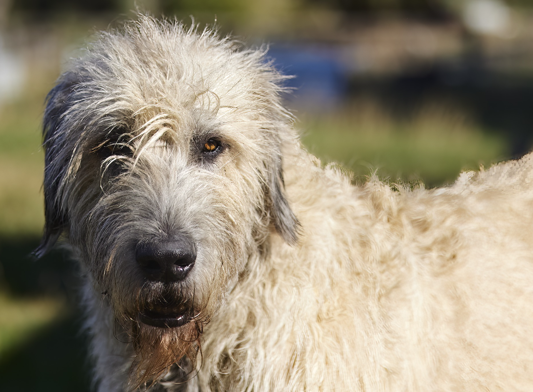 Opera Snapshot_2025-06-15_191607_www.facebook.com.png