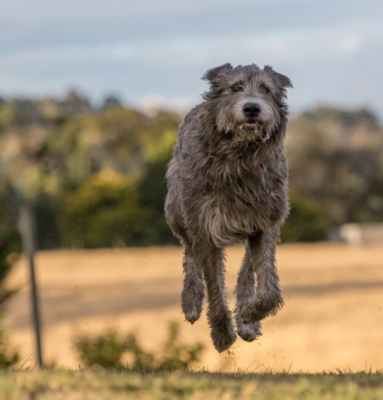 Opera Snapshot_2025-06-15_190451_www.facebook.com.png