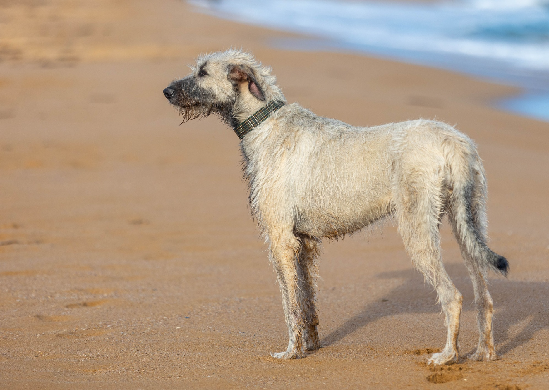 Opera Snapshot_2025-06-15_192804_www.facebook.com.png