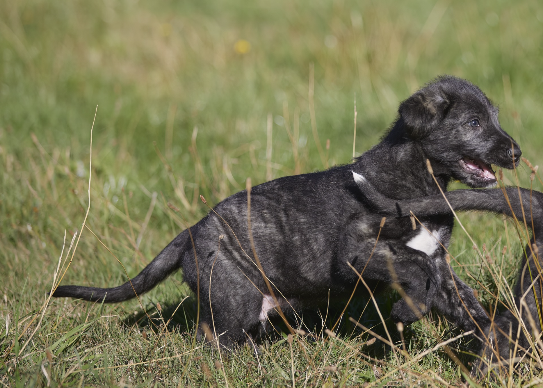 Opera Snapshot_2025-06-15_191407_www.facebook.com.png