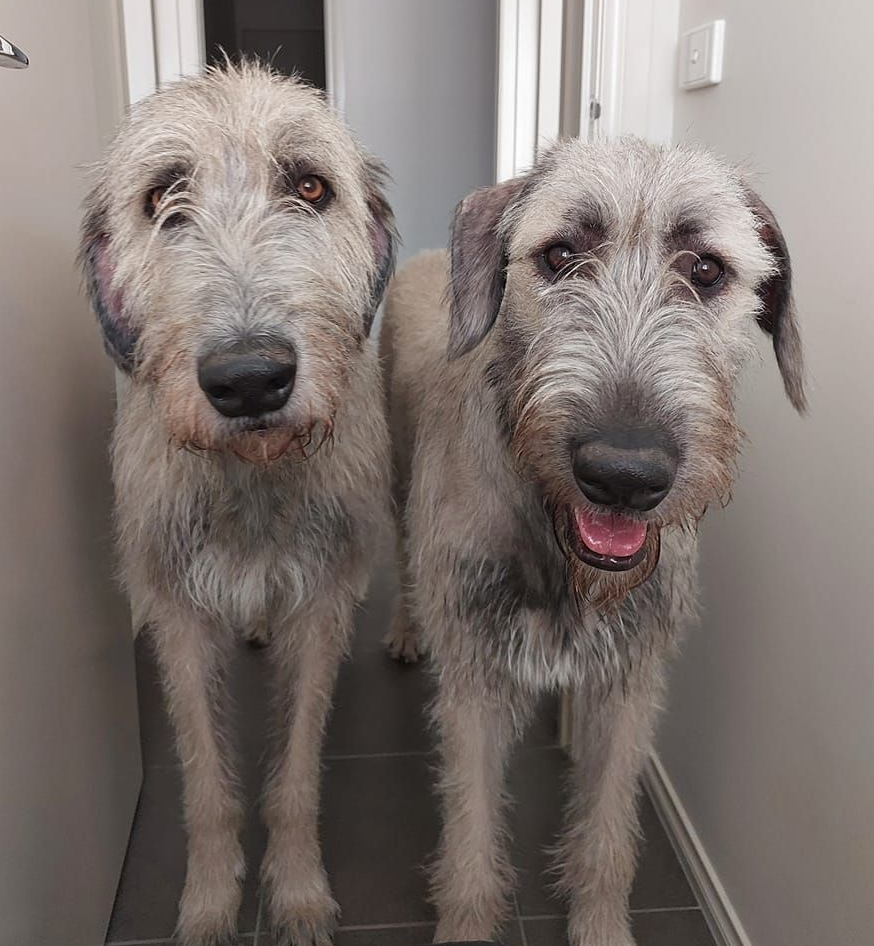 Screenshot 2025-09-29 100200.png