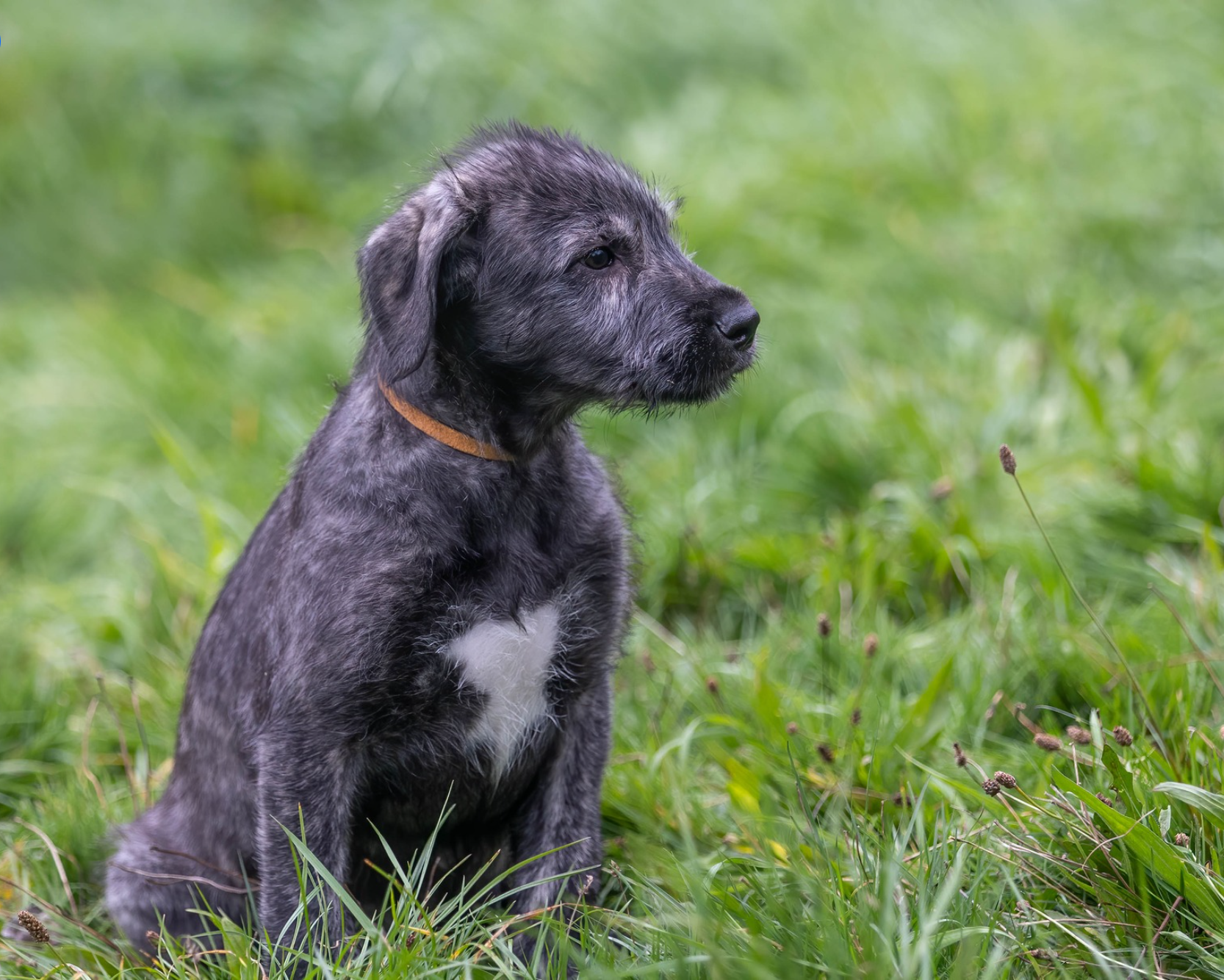 Opera Snapshot_2025-06-15_192237_www.facebook.com.png