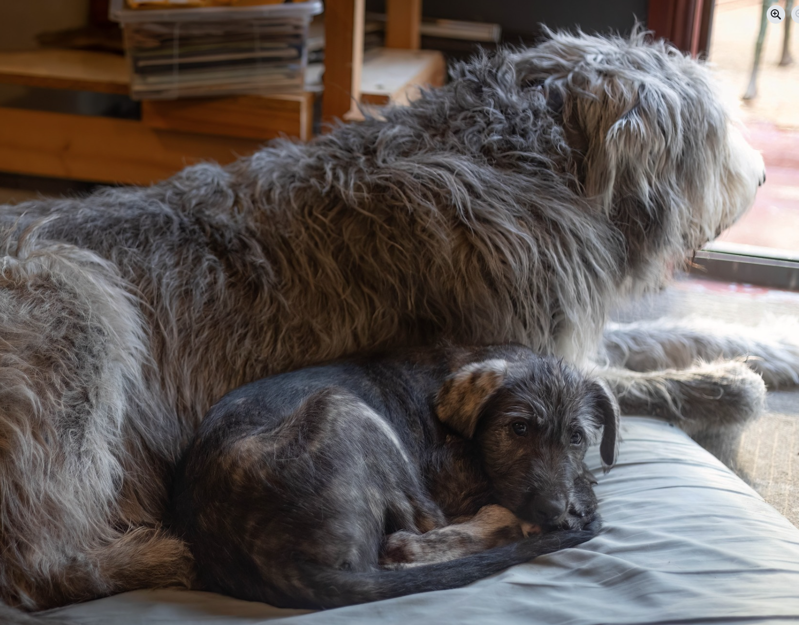 Screenshot 2025-09-29 095821.png