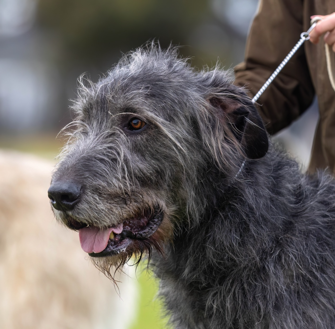 Opera Snapshot_2025-06-15_190847_www.facebook.com.png