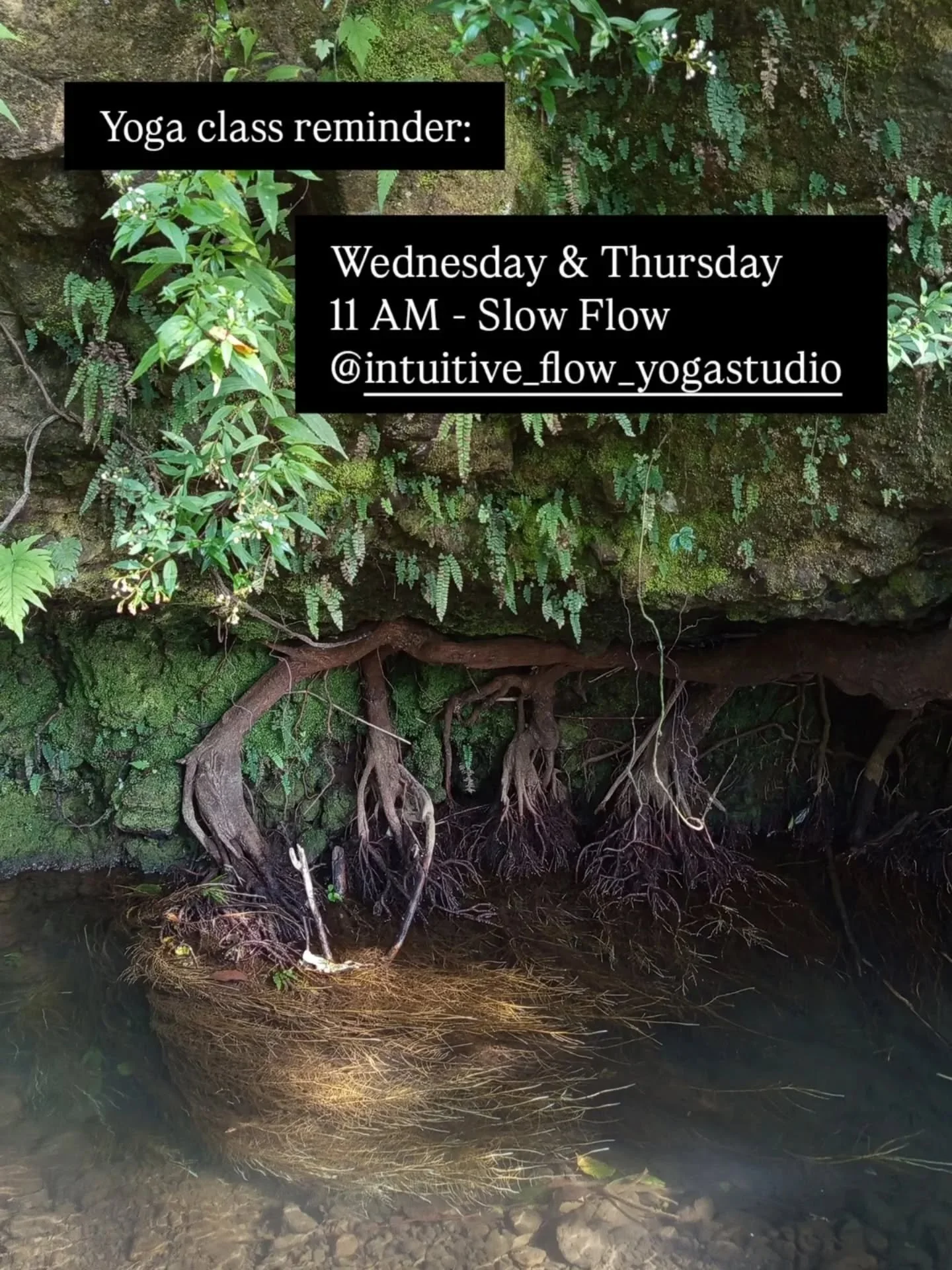 As the title of the class suggests, in this class we are flowing in a slower pace. Allowing us to have more time to prepare and setup the body to enter the pose, so then we can stay in the pose with steadiness (sthira) and comfort (sukha). No rush, n